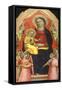 Panel Showing Madonna with Child-Nanni Di Jacopo-Framed Stretched Canvas