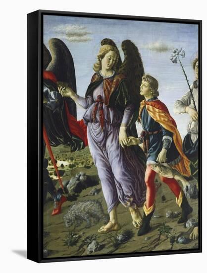 Panel with Three Angels and Tobias, Circa 1470-Francesco Botticini-Framed Stretched Canvas