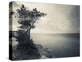 Panga Cliff, Kuressaare, Saaremaa Island, Estonia-null-Stretched Canvas