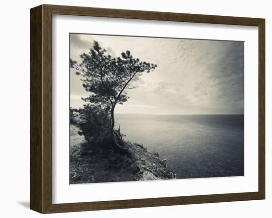 Panga Cliff, Kuressaare, Saaremaa Island, Estonia-null-Framed Photographic Print