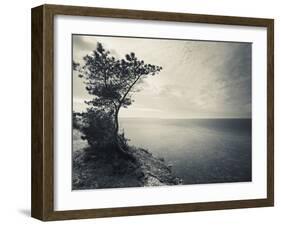 Panga Cliff, Kuressaare, Saaremaa Island, Estonia-null-Framed Photographic Print
