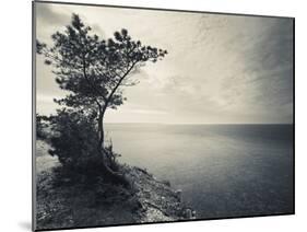 Panga Cliff, Kuressaare, Saaremaa Island, Estonia-null-Mounted Photographic Print