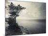 Panga Cliff, Kuressaare, Saaremaa Island, Estonia-null-Mounted Photographic Print