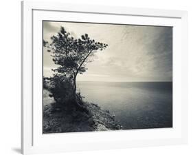 Panga Cliff, Kuressaare, Saaremaa Island, Estonia-null-Framed Photographic Print