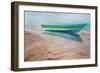 Panga-Suzanne Wilkins-Framed Art Print