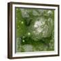 Pangaea II-Alicia Ludwig-Framed Art Print