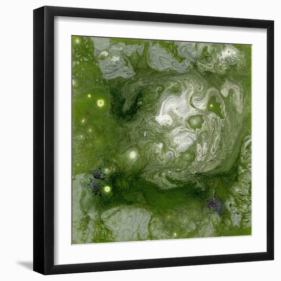 Pangaea II-Alicia Ludwig-Framed Art Print