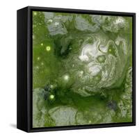 Pangaea II-Alicia Ludwig-Framed Stretched Canvas