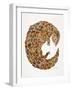 Pangolin-Cat Coquillette-Framed Art Print