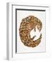 Pangolin-Cat Coquillette-Framed Art Print