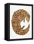 Pangolin-Cat Coquillette-Framed Stretched Canvas