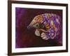 Pangolin-Corina St. Martin-Framed Giclee Print