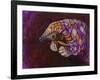 Pangolin-Corina St. Martin-Framed Giclee Print