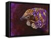 Pangolin-Corina St. Martin-Framed Stretched Canvas