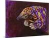 Pangolin-Corina St. Martin-Mounted Giclee Print