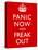 Panic Now And Freak Out Keep Calm Inspired Print Poster-null-Stretched Canvas