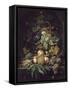 Panier de fleurs, fruits et insectes dans une niche-Abraham Mignon-Framed Stretched Canvas