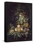 Panier de fleurs, fruits et insectes dans une niche-Abraham Mignon-Framed Stretched Canvas