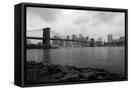 Framed Canvas