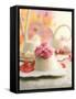 Panna Cotta (Cream Dessert), Emilia-Romagna, Italy-Jan-peter Westermann-Framed Stretched Canvas