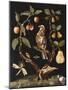 Panneau : Fruits et oiseaux-null-Mounted Giclee Print