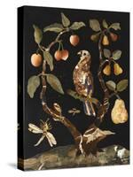 Panneau : Fruits et oiseaux-null-Stretched Canvas