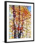 Panoply-Mandy Budan-Framed Giclee Print