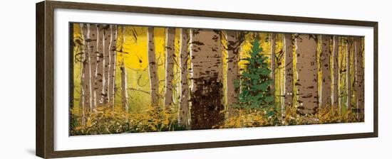 Panor Aspen Lone Pine-Roderick E. Stevens-Framed Giclee Print