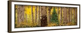 Panor Aspen Lone Pine-Roderick E. Stevens-Framed Giclee Print