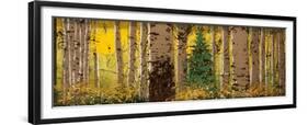 Panor Aspen Lone Pine-Roderick E. Stevens-Framed Giclee Print