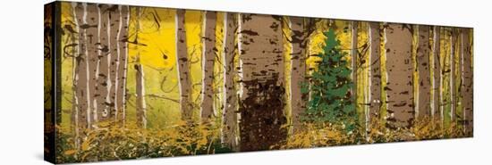 Panor Aspen Lone Pine-Roderick E. Stevens-Stretched Canvas