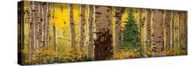 Panor Aspen Lone Pine-Roderick E. Stevens-Stretched Canvas