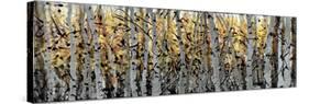 Panor Aspens 1-Roderick E. Stevens-Stretched Canvas