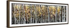 Panor Aspens 1-Roderick E. Stevens-Framed Premium Giclee Print