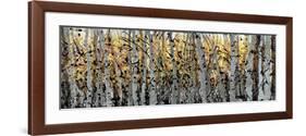 Panor Aspens 1-Roderick E. Stevens-Framed Premium Giclee Print