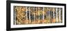 Panor Aspens 2-Roderick E. Stevens-Framed Giclee Print