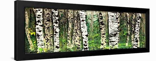 Panor Aspens 4-Roderick E. Stevens-Framed Giclee Print