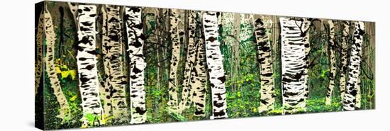 Panor Aspens 4-Roderick E. Stevens-Stretched Canvas