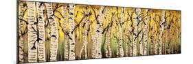 Panor Aspens Fall Begins-Roderick E. Stevens-Mounted Giclee Print