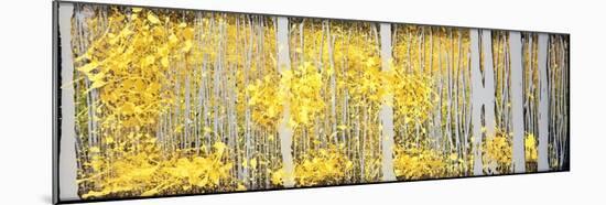 Panor Aspens Grey Forest-Roderick E. Stevens-Mounted Giclee Print