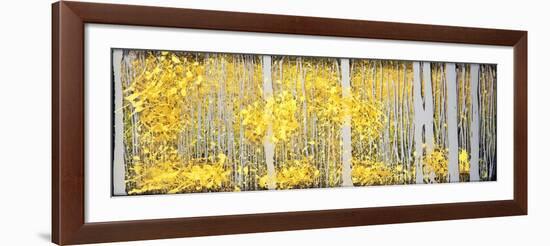 Panor Aspens Grey Forest-Roderick E. Stevens-Framed Giclee Print