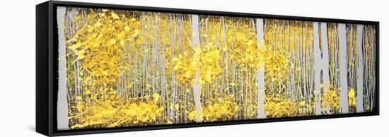 Panor Aspens Grey Forest-Roderick E. Stevens-Framed Stretched Canvas