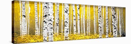 Panor Aspens Yellow Floor-Roderick E. Stevens-Stretched Canvas