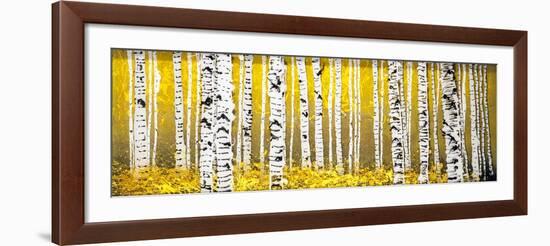 Panor Aspens Yellow Floor-Roderick E. Stevens-Framed Giclee Print