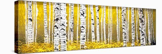 Panor Aspens Yellow Floor-Roderick E. Stevens-Stretched Canvas