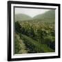 Panorama, Allevard-Les-Bains (Isère, France), around 1900-Leon, Levy et Fils-Framed Photographic Print