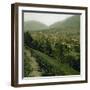 Panorama, Allevard-Les-Bains (Isère, France), around 1900-Leon, Levy et Fils-Framed Photographic Print