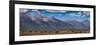 Panorama. Buffalo Herd with Grand Teton Mountains behind. Grand Teton National Park, Wyoming.-Tom Norring-Framed Photographic Print