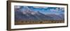 Panorama. Buffalo Herd with Grand Teton Mountains behind. Grand Teton National Park, Wyoming.-Tom Norring-Framed Photographic Print