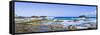 Panorama from the Natural Pool in the Wild Ocean on Aruba-nilayaji-Framed Stretched Canvas